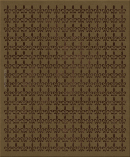 Anna-Veda 11984-ming2 - handgefertigter Teppich,  getuftet (Indien), 24x24 5ply Qualität